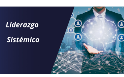 Liderazgo Sistémico en las Organizaciones