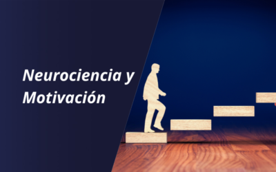 La Neurociencia de la Motivación en el trabajo: Incrementando la Productividad