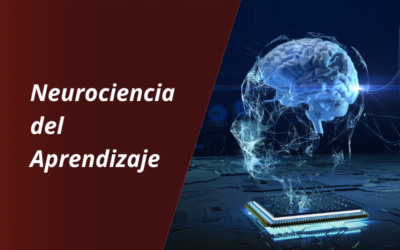 La Neurociencia del Aprendizaje y su Aplicación en el Coaching