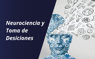 La neurociencia y la toma de decisiones en los negocios: cómo funciona
